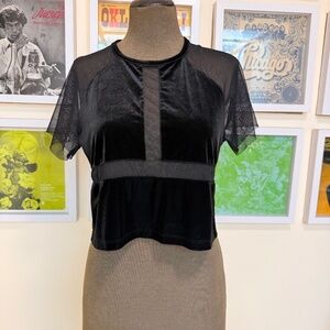 🖤 Y2K Sheer Mesh & Velvet Crop Top 🖤